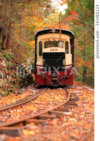 [長野縣]赤澤森林鐵路穿過赤澤自然休養林的紅葉隧道 141968124