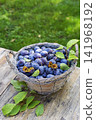 Plums harvest 141968192