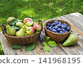 Fruit basket harvest 141968195