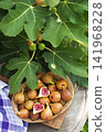 Figs fruit 141968228