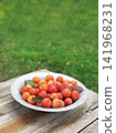 Cherry plums harvest 141968231