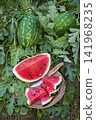 Watermelon 141968235
