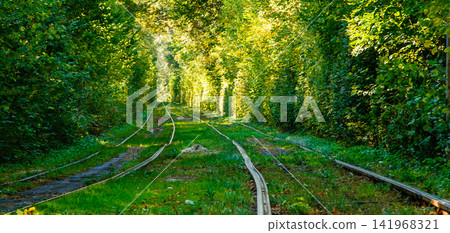 Tram and tram rails in colorful forest Tram and tram rails in colorful forest 141968321