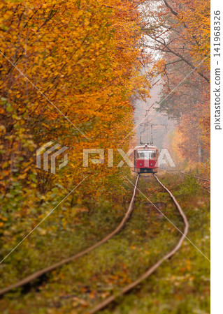 autumn forest among which goes a strange tram autumn forest among which goes a strange tram 141968326