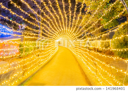 A tunnel and path of light that shines at night A tunnel and path of light that shines at night 141968401
