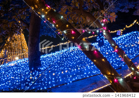 Beautiful illuminations decorate the park at night. Beautiful illuminations decorate the park at night. 141968412