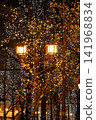 Beautiful illuminations and streetlights that adorn the winter night 141968834