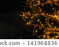 Golden illuminations adorn the ginkgo trees at night. 141968836