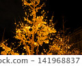 The golden illuminations of the ginkgo trees light up the city at night. 141968837