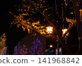 Ginkgo trees lining the streets at night and traditional lantern illuminations add to the festive atmosphere. 141968842