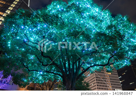 Blue illuminated trees light up the city at night. Blue illuminated trees light up the city at night. 141968847