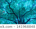 Trees illuminated by blue and green lights in a city park at night 141968848