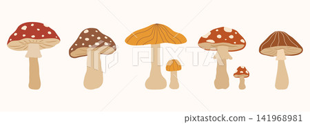 Retro autumn forest mushroom collection set with toadstool elements Retro autumn forest mushroom collection set with toadstool elements 141968981