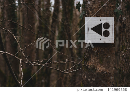Bike path sign on the tree in the forest, Europe Bike path sign on the tree in the forest, Europe 141969868