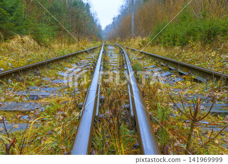 Twisting railway lines and golden trees form vivid paths and evoke sense of exploration and discovery Twisting railway lines and golden trees form vivid paths and evoke sense of exploration and discovery 141969999
