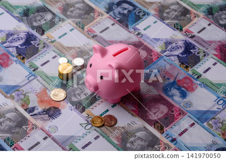 A piggy bank as a concept for storing, accumulating, and saving financial resources. A piggy bank A piggy bank as a concept for storing, accumulating, and saving financial resources. A piggy bank 141970050
