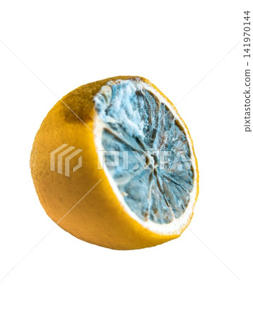 Half lemon with blue mold isolated on transparent background. food spoilage, kitchen hygiene, health risk, quality control, waste Half lemon with blue mold isolated on transparent background. food spoilage, kitchen hygiene, health risk, quality control, waste 141970144