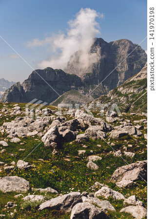 Rocky Mountain Meadow Overlooking Rugged Alpine Peaks Rocky Mountain Meadow Overlooking Rugged Alpine Peaks 141970198
