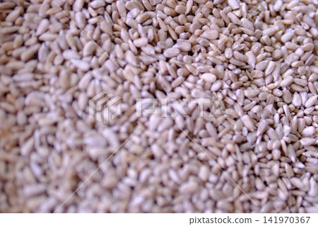 Raw sunflower kernels with natural color arranged in close up as wholesome ingredient for healthy meals baking salads and everyday plant based nutrition Raw sunflower kernels with natural color arranged in close up as wholesome ingredient for healthy meals baking salads and everyday plant based nutrition 141970367