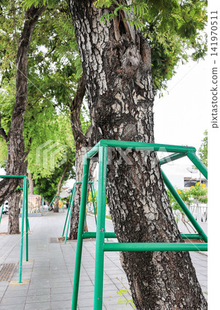 close up of ground supported or shoring by a green metal stick for plant in the park. close up of ground supported or shoring by a green metal stick for plant in the park. 141970511