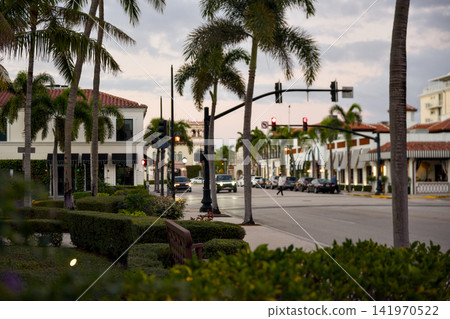 Empty Street Corner Lined With Tall Royal Palms Empty Street Corner Lined With Tall Royal Palms 141970522