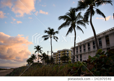 Palm Trees Silhouetted Against A Hotel Building At Sunset Palm Trees Silhouetted Against A Hotel Building At Sunset 141970540