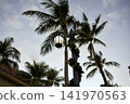 Palm Fronds Frame A Lamppost Decorated With Holiday Garland 141970563