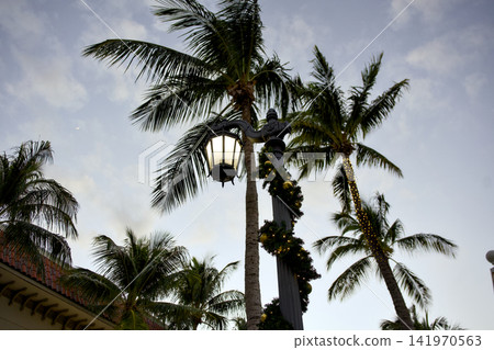 Palm Fronds Frame A Lamppost Decorated With Holiday Garland Palm Fronds Frame A Lamppost Decorated With Holiday Garland 141970563
