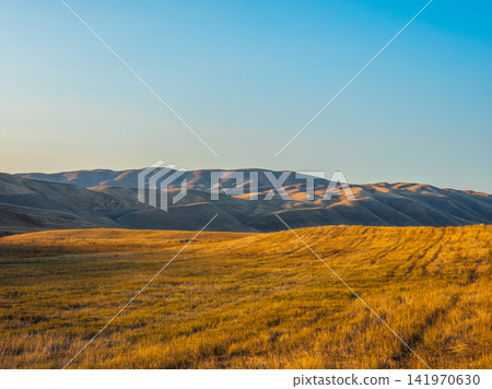Golden Grass Field and Rolling Hills at Sunrise or Sunset 141970630