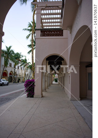 Sunlit Archway Corridor With Palm Tree View Sunlit Archway Corridor With Palm Tree View 141970637