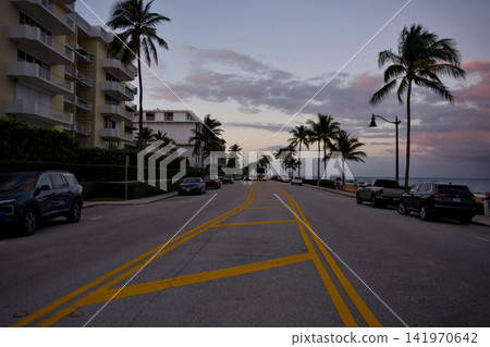 Coastal Road With Palm Trees At Golden Sunset Coastal Road With Palm Trees At Golden Sunset 141970642