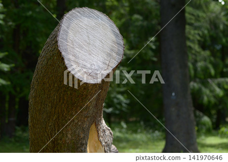 Stubble Stubble 141970646