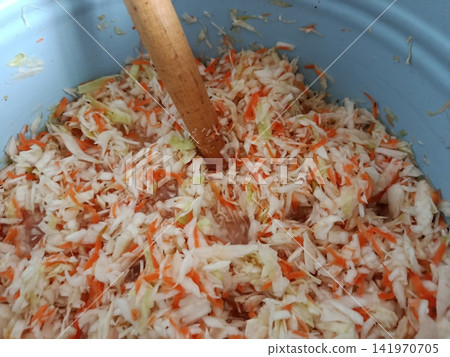 Shredded cabbage and carrots mixing with spices in a blue container, preparing homemade raw fermented sauerkraut for a healthy probiotic food diet Shredded cabbage and carrots mixing with spices in a blue container, preparing homemade raw fermented sauerkraut for a healthy probiotic food diet 141970705