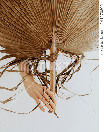 Close Up of Dried Palm Leaf and Hand Close Up of Dried Palm Leaf and Hand 141970806