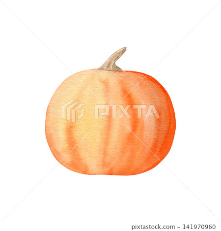Watercolor orange pumpkin with stem, isolated clipart. Hand drawn botanical vegetable illustration for fall designs, Thanksgiving, Halloween, autumn harvest themes and kitchen decor on white. Watercolor orange pumpkin with stem, isolated clipart. Hand drawn botanical vegetable illustration for fall designs, Thanksgiving, Halloween, autumn harvest themes and kitchen decor on white. 141970960