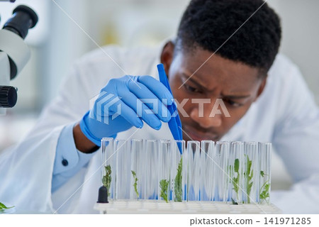 Science, cannabis and black man with test tube in lab for medical experiment, innovation or development. Scientist, investigation and sample with analysis for healthcare, knowledge and benefits Science, cannabis and black man with test tube in lab for medical experiment, innovation or development. Scientist, investigation and sample with analysis for healthcare, knowledge and benefits 141971285