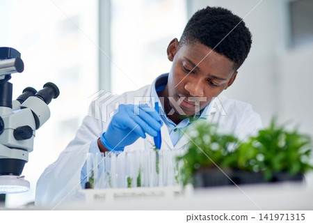 Scientist, cannabis and test tube in lab with research for development, innovation or medical experiment. Science, investigation and man with analysis of sample for healthcare, growth and knowledge Scientist, cannabis and test tube in lab with research for development, innovation or medical experiment. Science, investigation and man with analysis of sample for healthcare, growth and knowledge 141971315