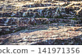 Textured rock surface with layered formations and natural patterns Sealing wax jasper 141971356