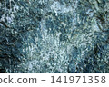 Close-up view of textured shale rock surface with natural patterns and colors 141971358