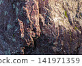 Close-up of textured rock jasper surface with red and gray mineral patterns 141971359