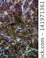 Vertical close up shot of textured surface of sealing wax jasper with moss and mineral patterns 141971361