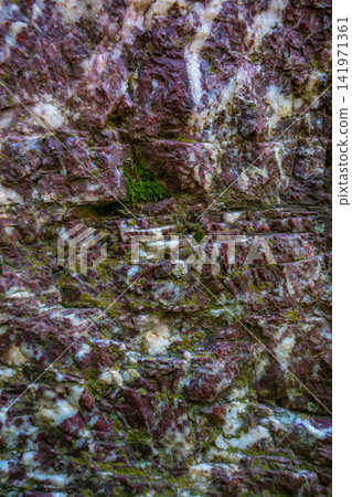 Vertical close up shot of textured surface of sealing wax jasper with moss and mineral patterns 141971361