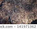 Close-up view of textured rock surface with intricate patterns and colors 141971362