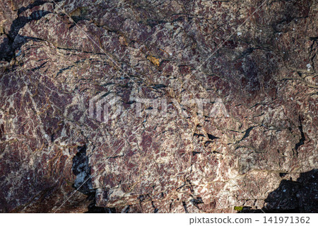 Close-up view of textured rock surface with intricate patterns and colors Close-up view of textured rock surface with intricate patterns and colors 141971362