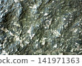 Close up view of textured surface of serpentinite or serpentine with mineral patterns and colors 141971363