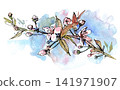 Delicate watercolor branch with blooming pink flowers and buds over soft blue wash 141971907