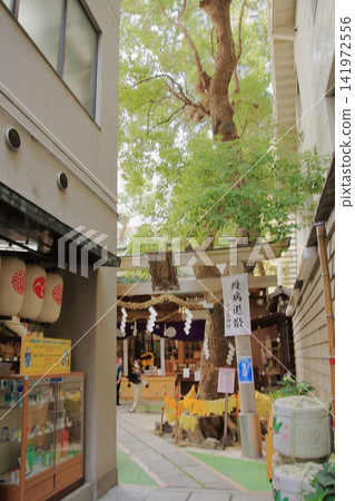 宿巳彥名神社,位於大阪府道聖町,大阪府是醫藥之都。 宿巳彥名神社,位於大阪府道聖町,大阪府是醫藥之都。 141972556