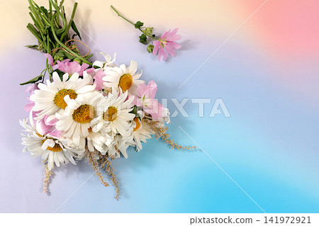 Bouquet of white daisies and mallow on bright sunny background, summer and autumn product advertising banner, abstract floral arrangement, flat lay still life, autumn holiday card with space for text Bouquet of white daisies and mallow on bright sunny background, summer and autumn product advertising banner, abstract floral arrangement, flat lay still life, autumn holiday card with space for text 141972921
