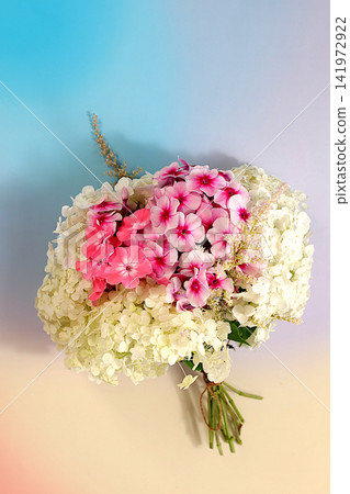 Bouquet of various varieties of phlox and garden hydrangea on a bright sunny background, an advertising banner for summer and autumn products, an abstract floral arrangement, flat lay still life, 141972922