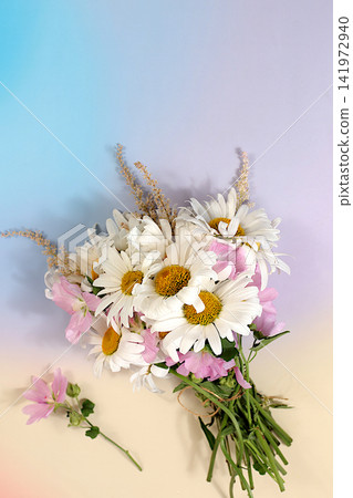 Bouquet of white daisies and mallow on bright sunny background, summer and autumn product advertising banner, abstract floral arrangement, flat lay still life, autumn holiday card with space for text Bouquet of white daisies and mallow on bright sunny background, summer and autumn product advertising banner, abstract floral arrangement, flat lay still life, autumn holiday card with space for text 141972940